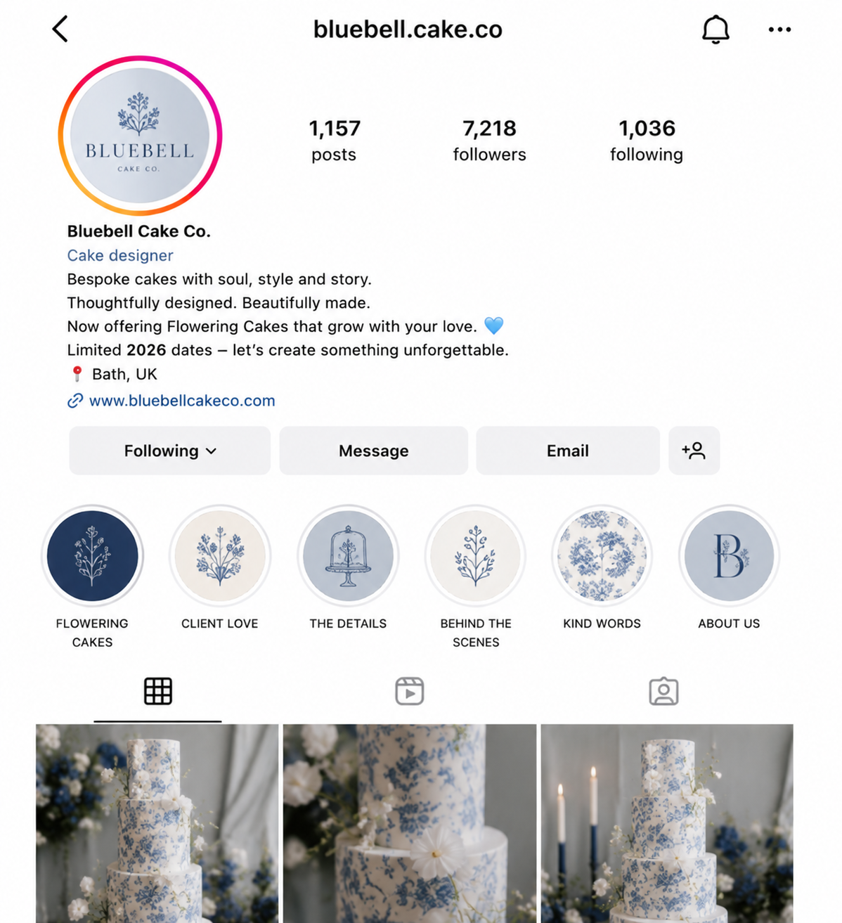 Introductory IG Story Resources